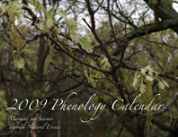 Calendar Order Link